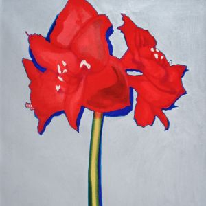 Amaryllis, 2007 - acrylic on canvas - 100 x 70 cm