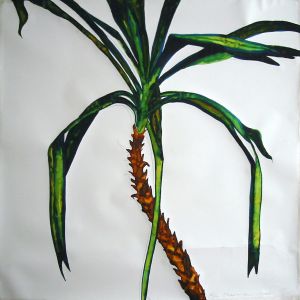 Palm, 2003 - watercolor on paper - 150 x 150 cm