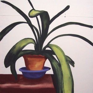 Elephantenohr (Clivia), 2001 - acrylic on canvas - ca 120 x 120 cm