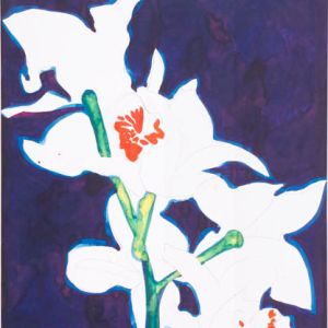Orchids, 2003 - watercolor on paper - 100 x 70 cm