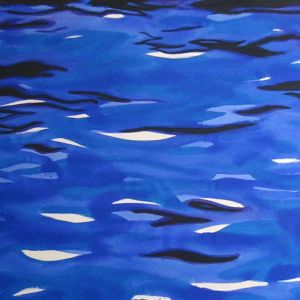 Waterscape, 2003 - acrylic on canvas - ca 130 x 250 cm