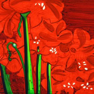 Amaryllis, 2007 watercolor on paper - 60 x 90 cm