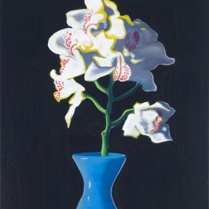 Orchids, 2008 - oil on canvas - 100 x 70 cm
