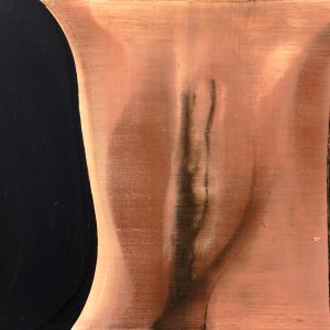 L'Origine du Monde, ca 2009 - oil on canvas - ca 60 x 80 cm