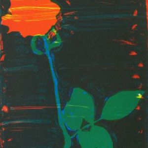 Journal Intime, 2004 - lithograph - ca 30 x 21 cm