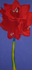 Amaryllis, 2004 acrylic on canvas 120 x 70 cm private collection.jpg