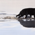 waterscape_dog