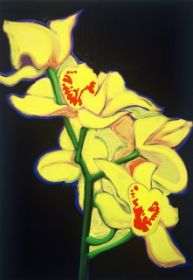 Orchids, 2004 oil on canvas 100 x 100 cm private collection.jpg