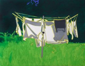 White Laundry, 2009 oil on canvas 130 x 165 cm private collection.jpg